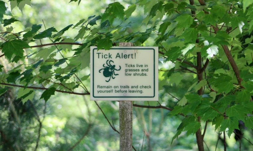 Don't Let Ticks Live In Your Yard!