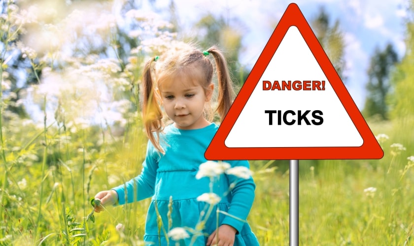 Don't Let Ticks Live In Your Yard!