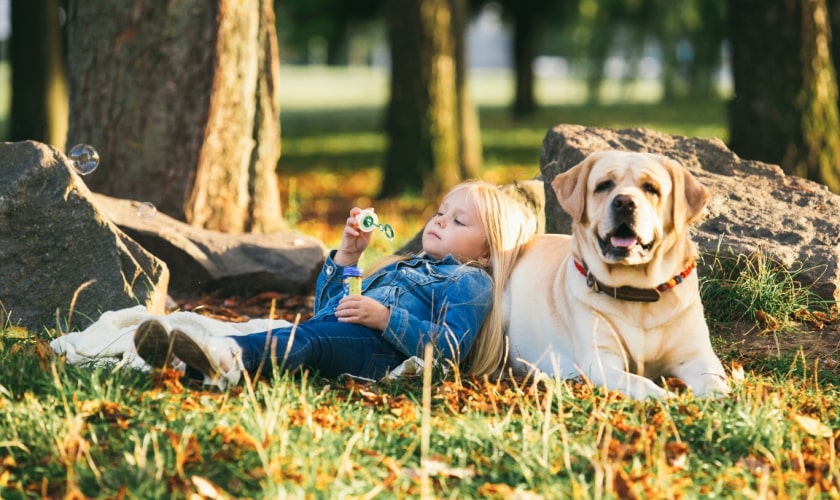 Keep Your Kids & Pets Safe From Fleas!