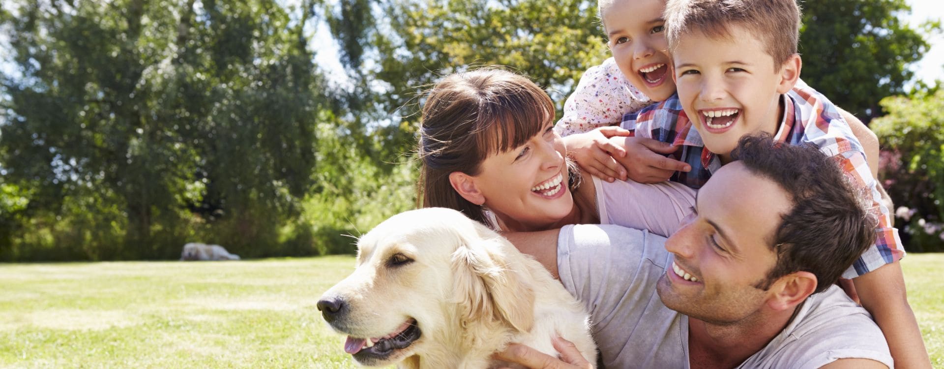 All Pest Solutions, Inc. photo 2