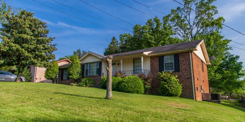 Are Termites a Common Problem for Homeowners in Nashville, TN?