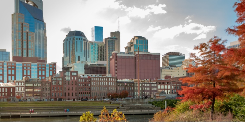 Mosquito Elimination Services in Nashville, TN