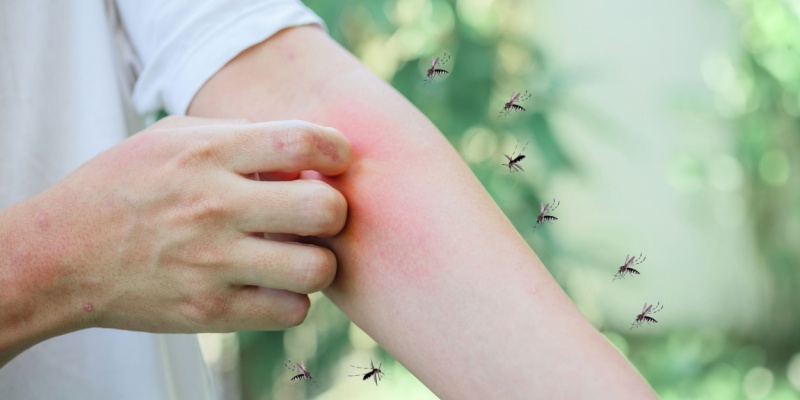 Why Are Mosquitoes So Bad in Nashville Understanding the Summer Swarm