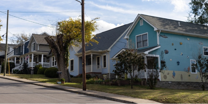 Why DIY Pest Control Often Fails in Tennessee Homes