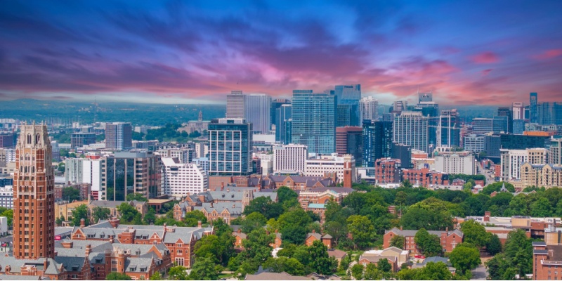 How Much Does Pest Control Cost in Nashville?