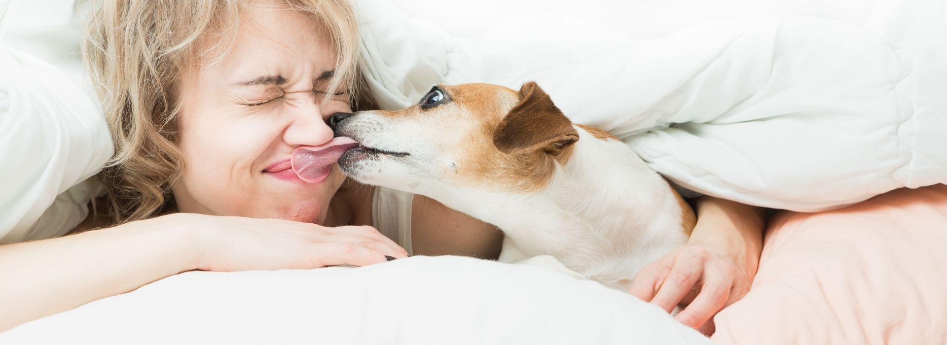 Family & Pet Friendly Pest Control