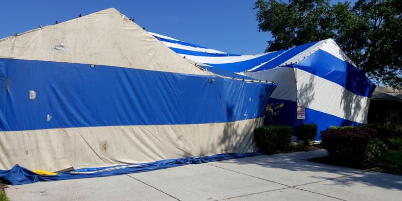 Termite Elimination Experts in Nashville, TN